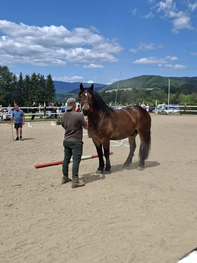 5ad14caa-7991-4832-92f1-272fe5807b52